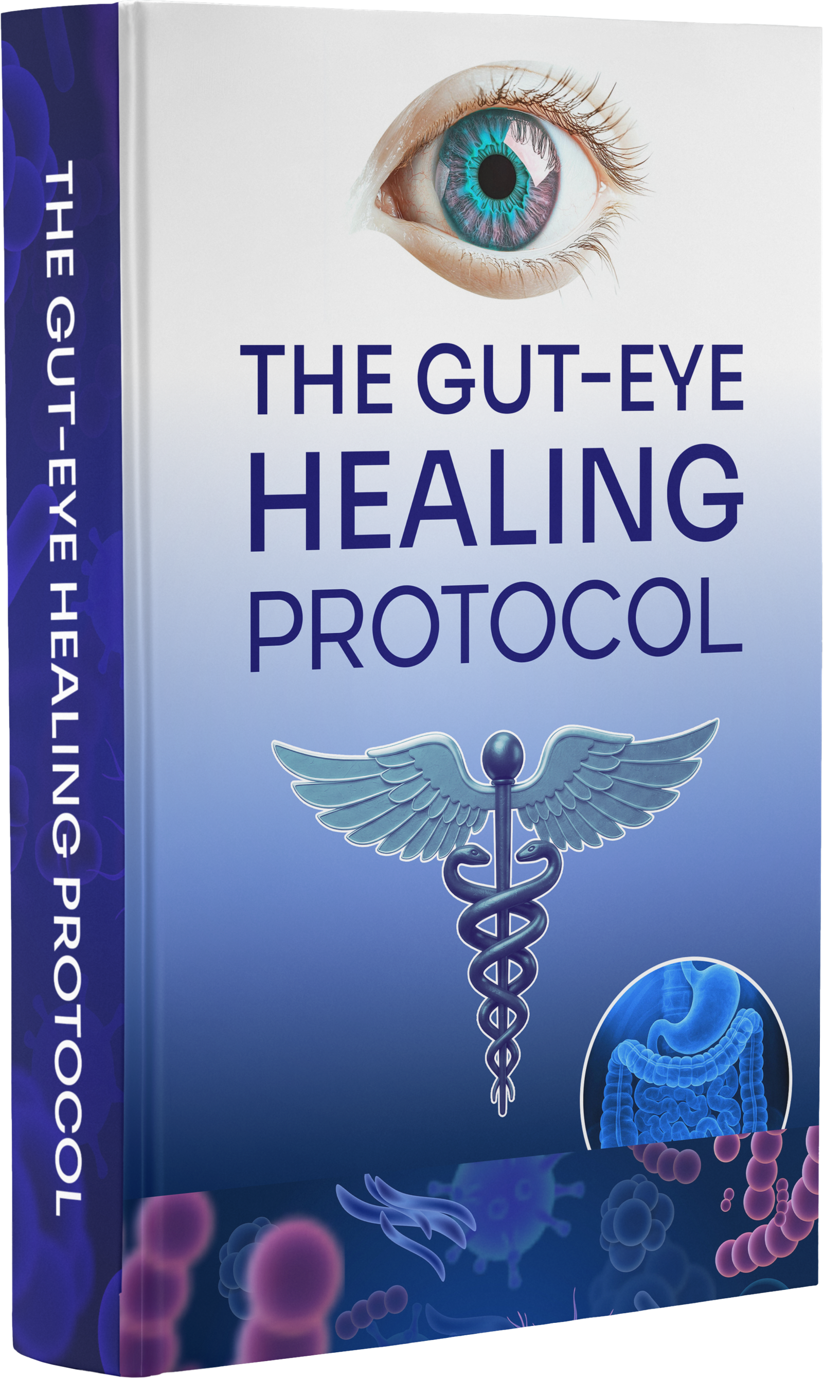 The Gut-Eye Healing Protocol